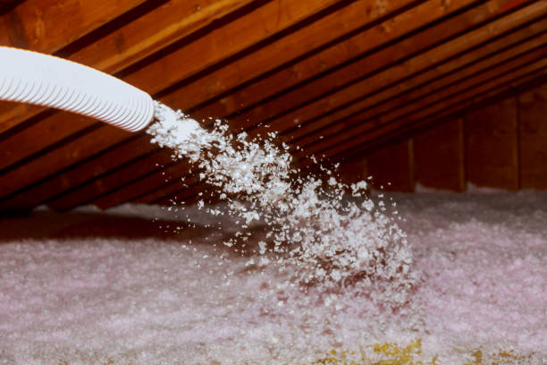 Best Commercial Insulation in Somerton, AZ