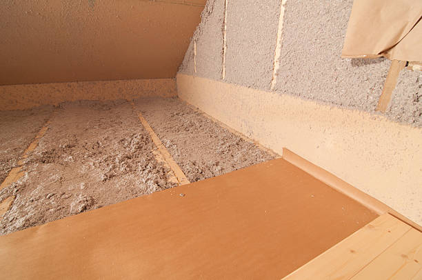 Best Insulation Installation Services in Somerton, AZ