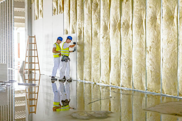 Best Types of Insulation in Somerton, AZ